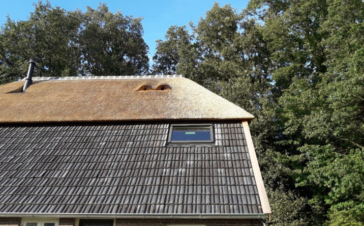 Woonboerderij rieten kap