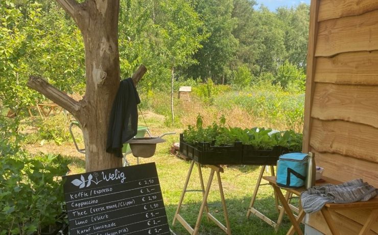 Verkoophuisje pluktuin welig