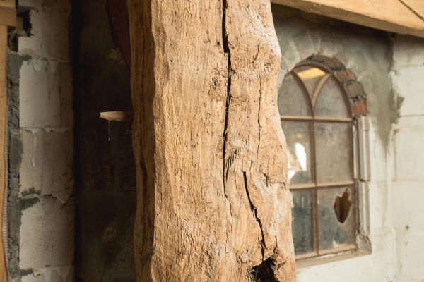 Test nieuwsbericht 2